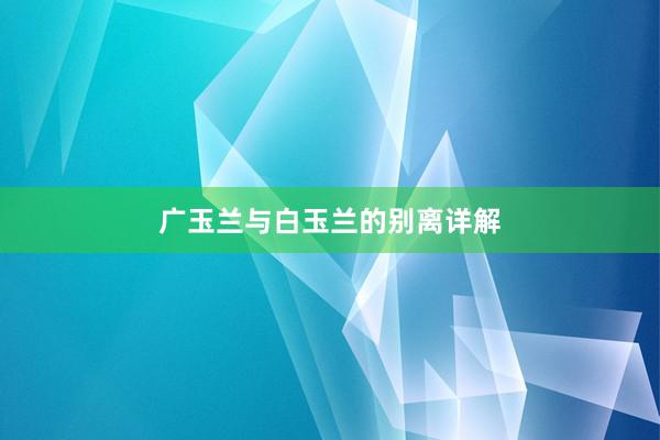 广玉兰与白玉兰的别离详解