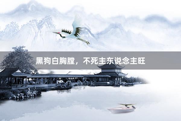 黑狗白胸膛，不死主东说念主旺
