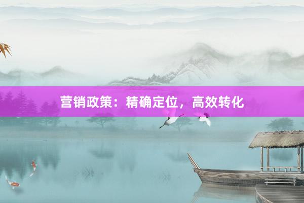 营销政策：精确定位，高效转化